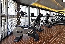 ����-���� LE SOLEAL, ����������� ���