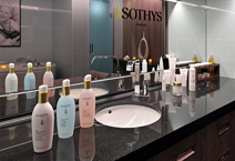 ����-���� LE SOLEAL, ���������