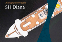 SH Diana    